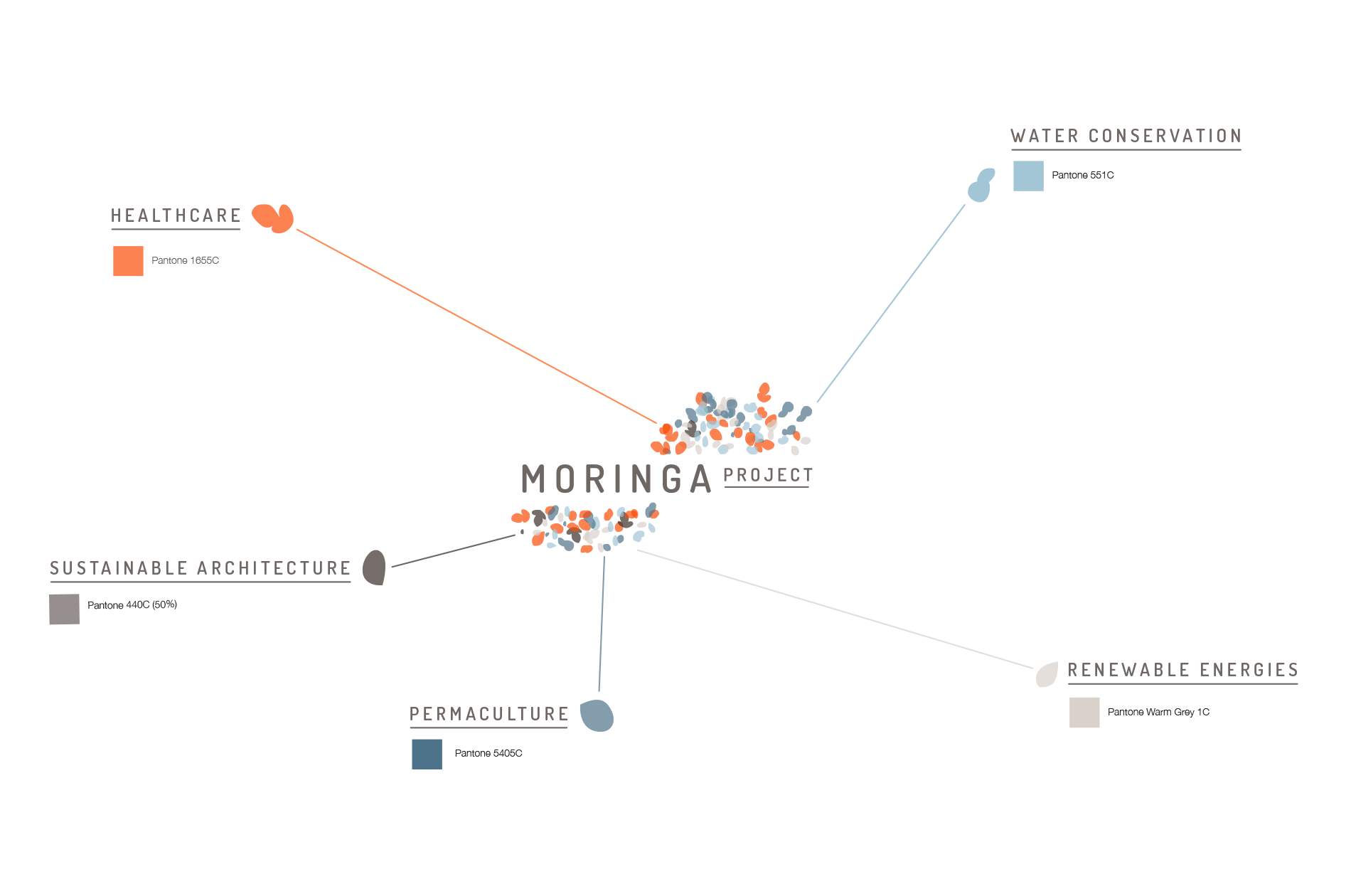 Moringa Project branding asset 3